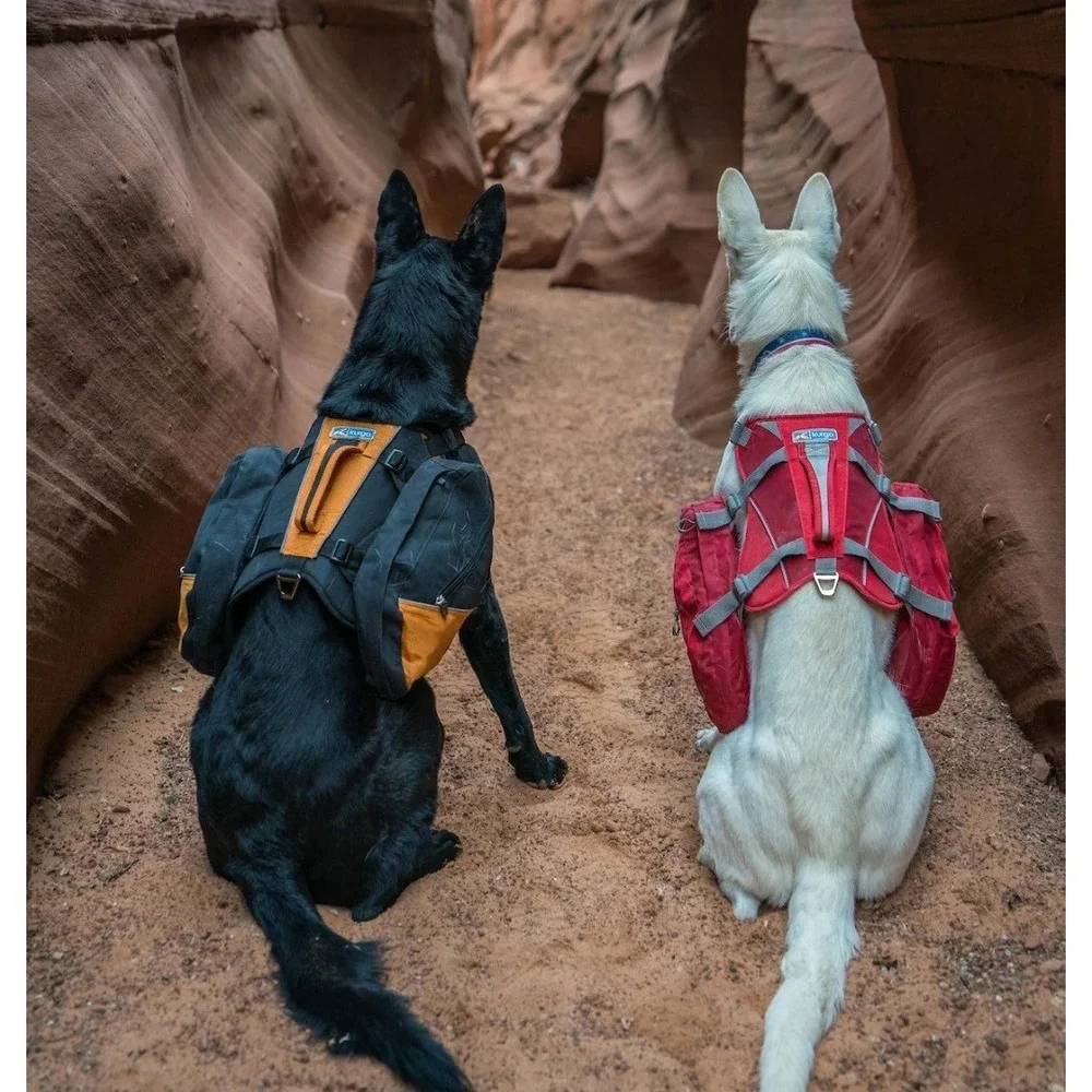 Kurgo Baxter Dog Backpack Blk/Orange Zip Saddle Bags Hiking Running Walking